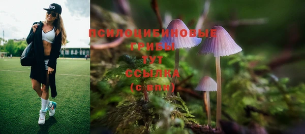 мяу мяу мука Алексин