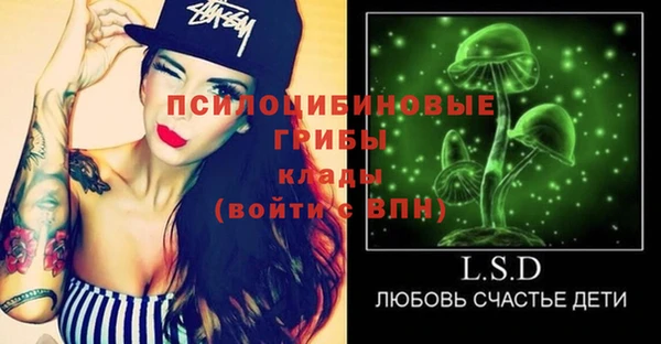 a pvp Алзамай